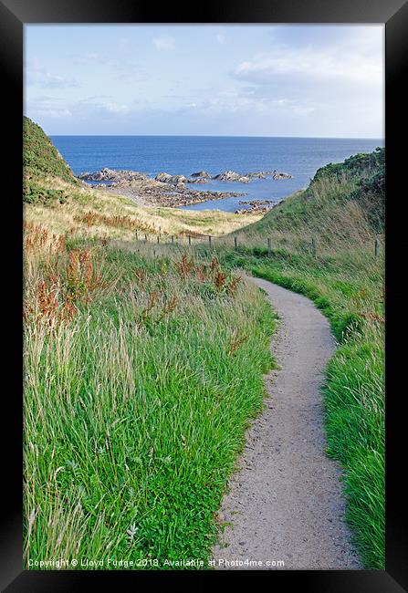 path down to beach Framed Print by Lloyd Fudge