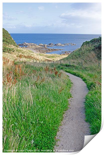 path down to beach Print by Lloyd Fudge