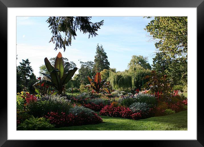 Tropical Garden Framed Mounted Print by Ruth Hallam