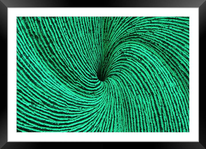 Green spiral Framed Mounted Print by Ruth Hallam
