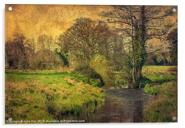 River Glaven at Letheringsett Acrylic by Julie Coe