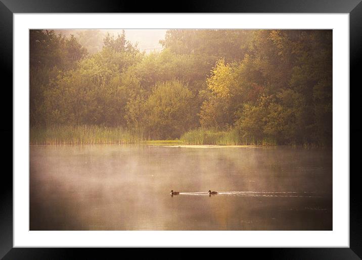 Tranquil Scene Framed Mounted Print by Dawn Cox