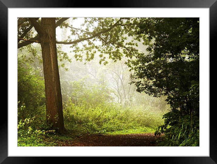 Misty morning Framed Mounted Print by Dawn Cox