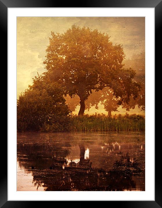 Reflections Framed Mounted Print by Dawn Cox