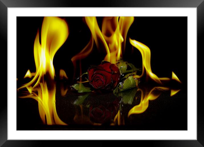 Start Of Burning Love Framed Mounted Print by Tony Fishpool