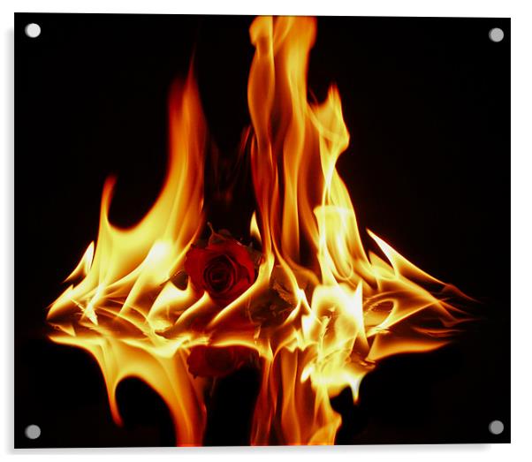 The Burning Fire Of Love Acrylic by Tony Fishpool