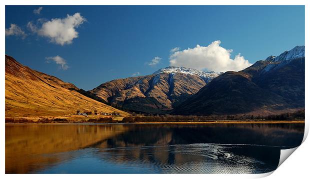 Kintail Print by Macrae Images