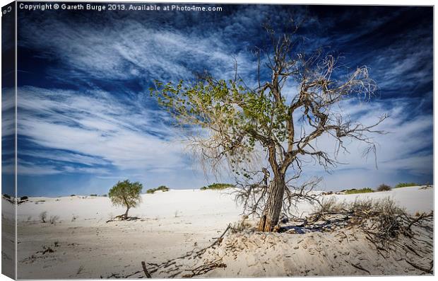White Sands National Monument #1 Canvas Print by Gareth Burge Photography