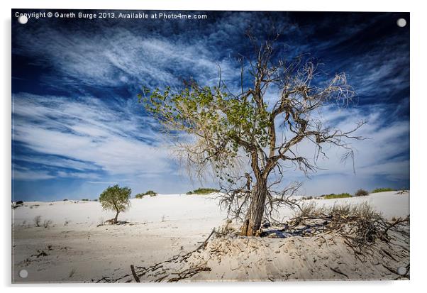 White Sands National Monument #1 Acrylic by Gareth Burge Photography