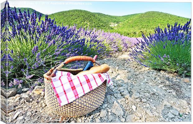Picnic and French lavender Canvas Print by Jean Gill