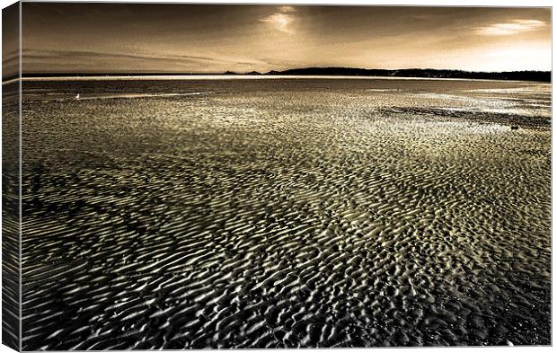 Swansea Bay Mumbles Gower Canvas Print by Leighton Collins