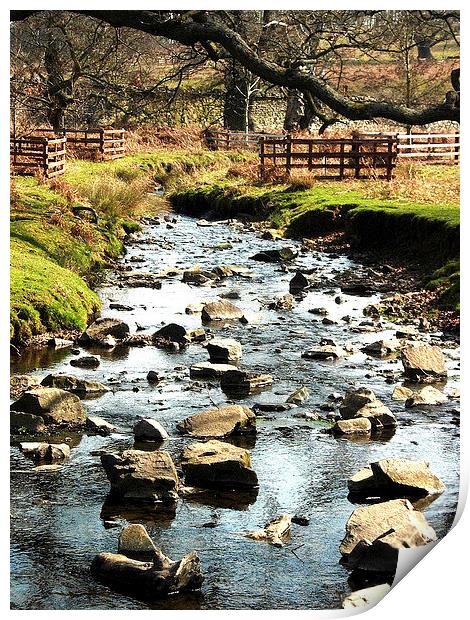 Boulder Creek Print by james richmond