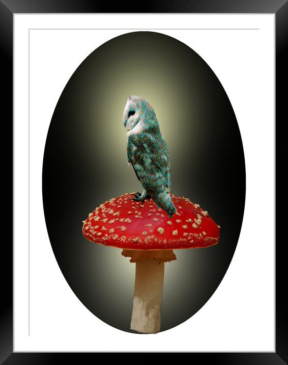 Owl Sitting Pretty. Framed Mounted Print by Heather Goodwin