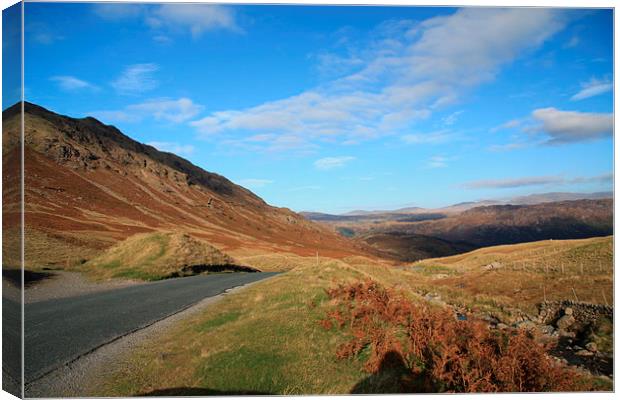 Open Road in Cumbria. Canvas Print by Tony Dimech