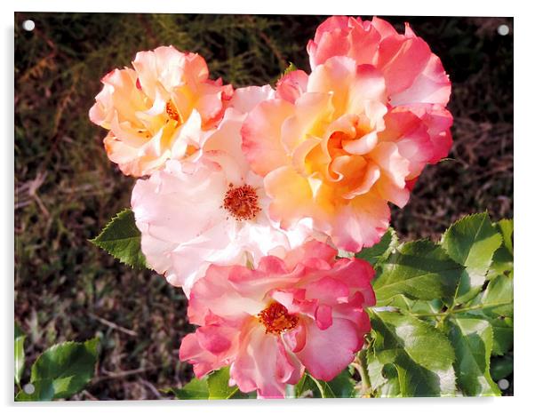 2152--beauty roses Acrylic by elvira ladocki