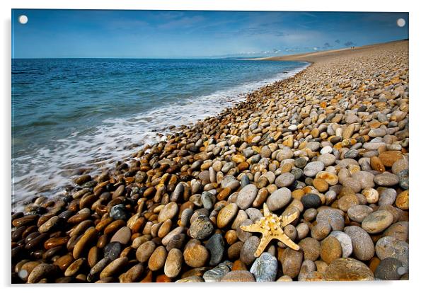 Chesil Beach Starfish Acrylic by Graham Custance