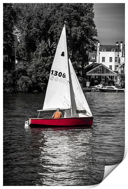 Sailing Free Print by Tony Fishpool