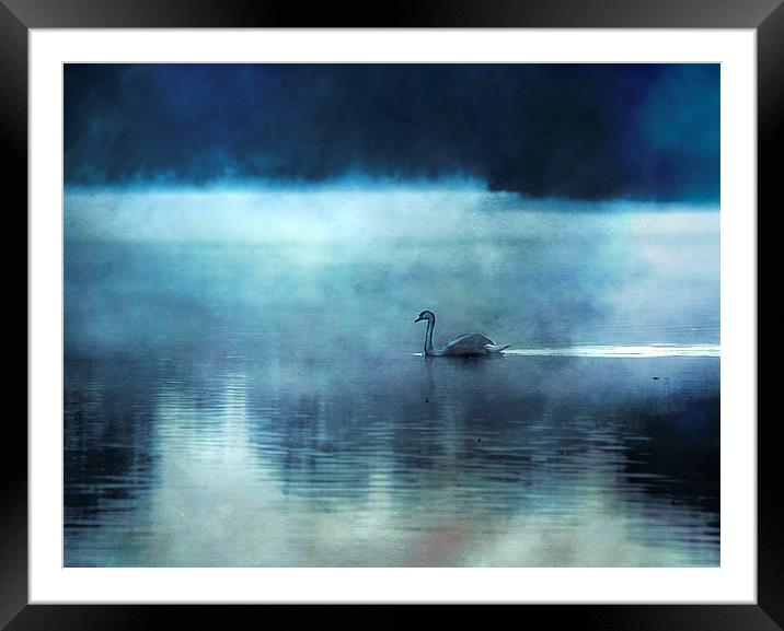 Swan Lake Framed Mounted Print by Dawn Cox