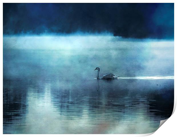 Swan Lake Print by Dawn Cox