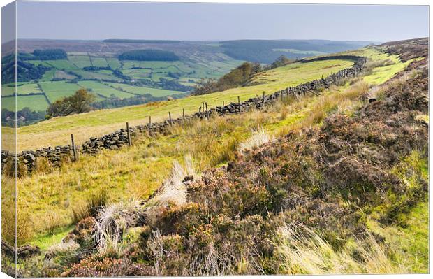 Rosedale North York Moors Canvas Print by Jean Gill