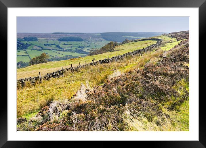 Rosedale North York Moors Framed Mounted Print by Jean Gill