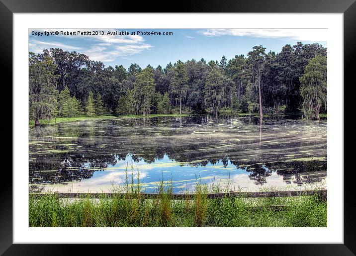 Pond and Reflection Framed Mounted Print by Robert Pettitt