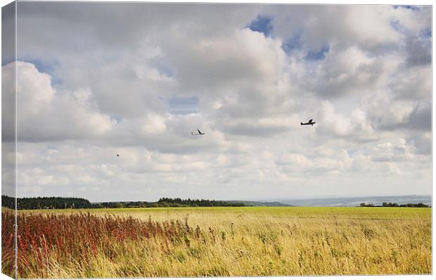 Flight over the Yorkshire moors Canvas Print by Jean Gill