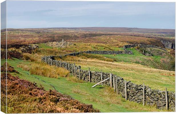 Rosedale North York Moors Canvas Print by Jean Gill