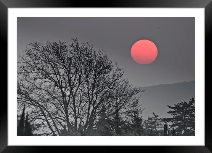 Sunset over trees Framed Mounted Print by Jean Gill