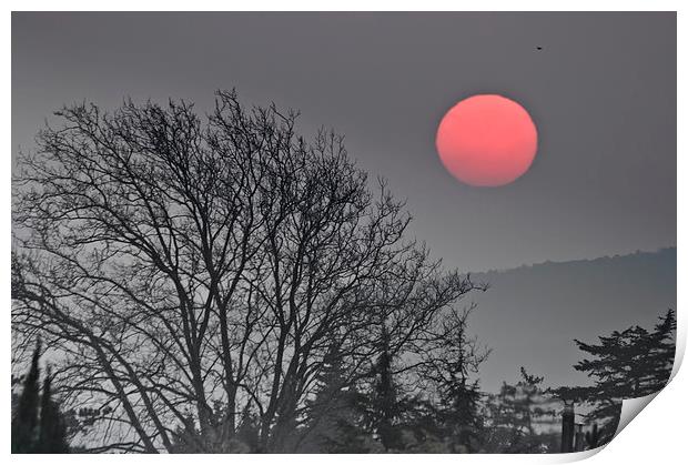 Sunset over trees Print by Jean Gill