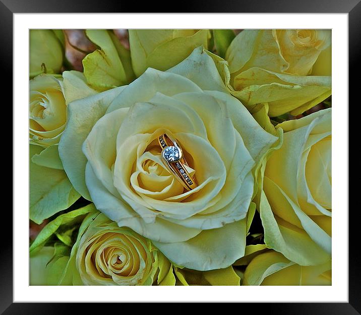 Will you marry me :) Framed Mounted Print by Sue Bottomley