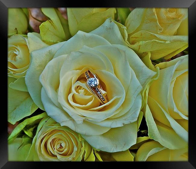 Will you marry me :) Framed Print by Sue Bottomley
