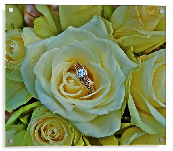 Will you marry me :) Acrylic by Sue Bottomley
