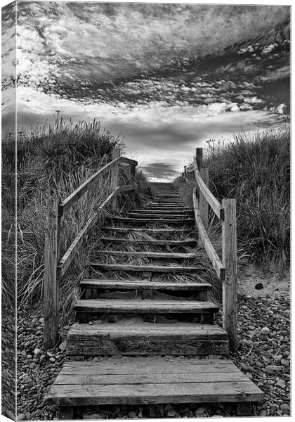 Steps To The Beach Canvas Print by David Pringle