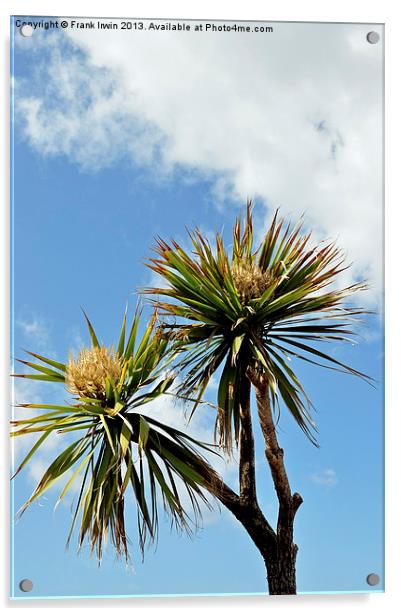 Decorative Palm Trees for promenades etc. Acrylic by Frank Irwin