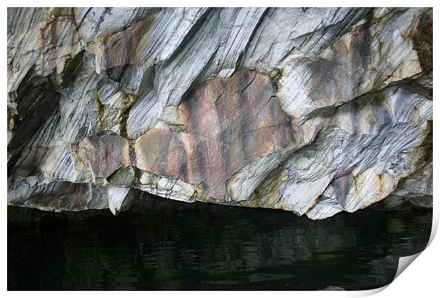 the Rock Fish Print by Hemmo Vattulainen