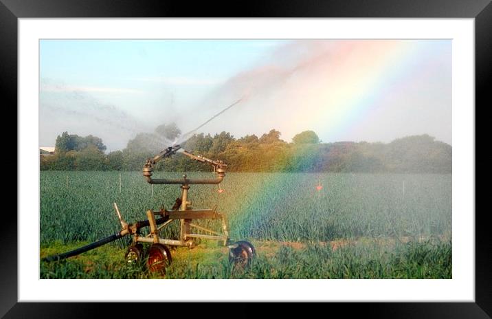 Rainbow and Sprinkler Framed Mounted Print by Andrew Steer