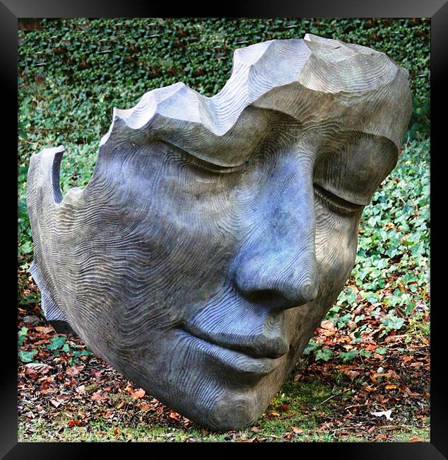 Face sculpture Framed Print by Ruth Hallam