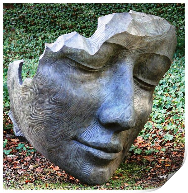 Face sculpture Print by Ruth Hallam