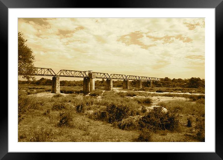 Selati Train Line Kruger Park Framed Mounted Print by Alistair du Plessis