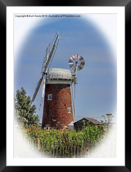 Horsey windpump Framed Mounted Print by Avril Harris