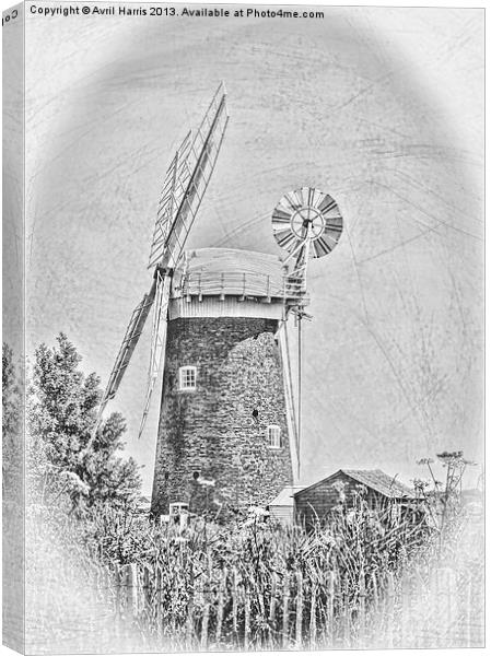 Horsey windpump black and white Canvas Print by Avril Harris