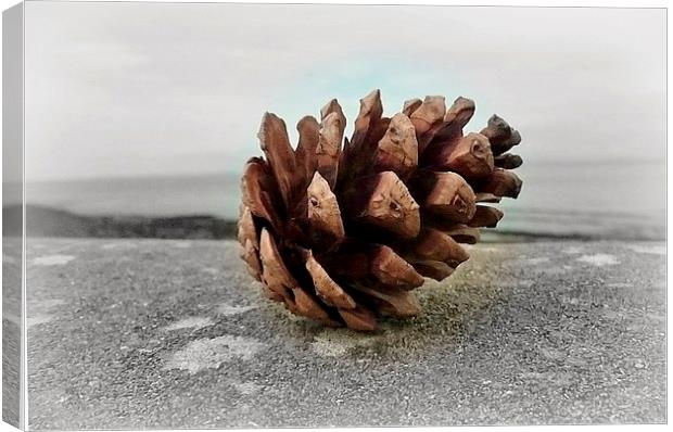 Pine cone Holiday! Canvas Print by Susie Hawkins