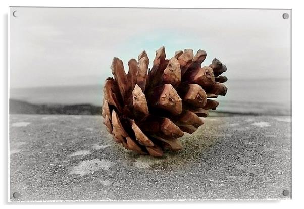 Pine cone Holiday! Acrylic by Susie Hawkins