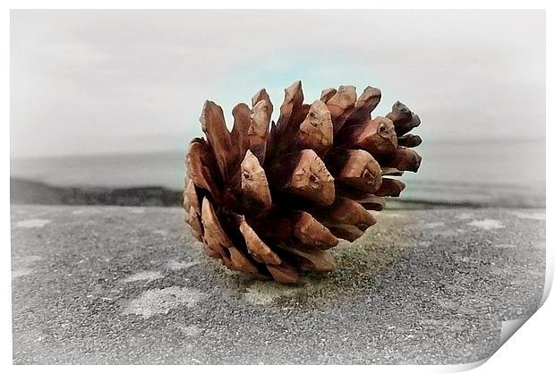 Pine cone Holiday! Print by Susie Hawkins