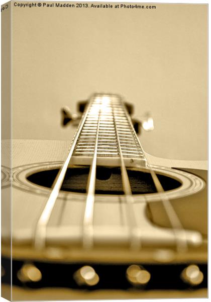 Acoustic bass Canvas Print by Paul Madden