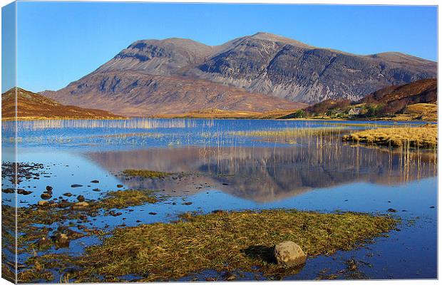 Arkle from Loch Stack Canvas Print by David Wilson