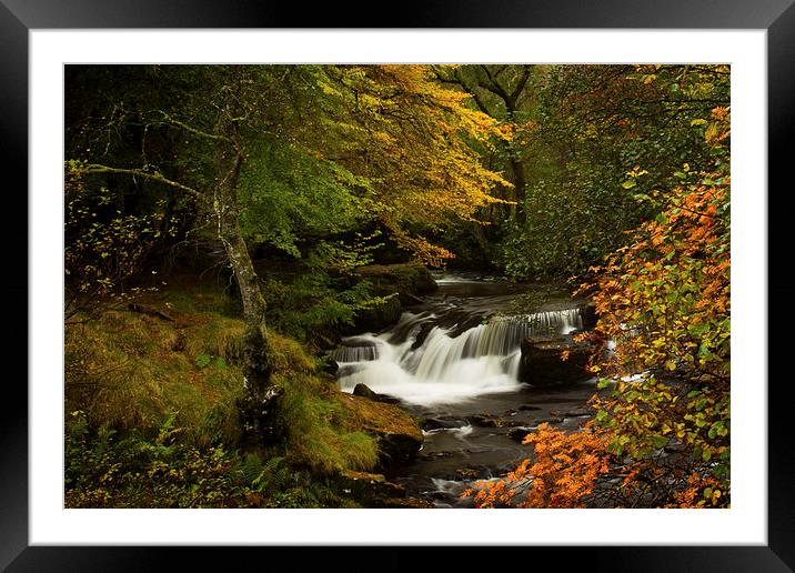 Autumn Waterfall Framed Mounted Print by Sue Dudley