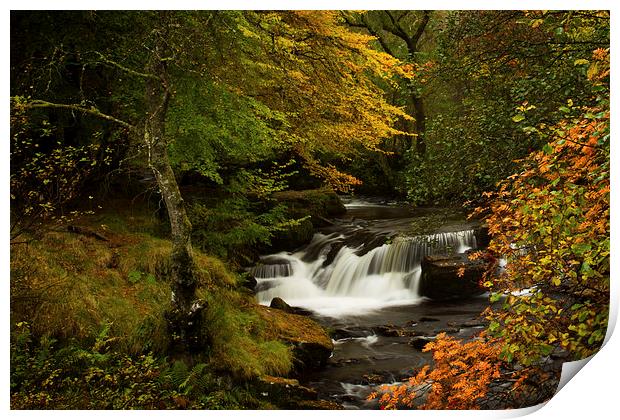 Autumn Waterfall Print by Sue Dudley