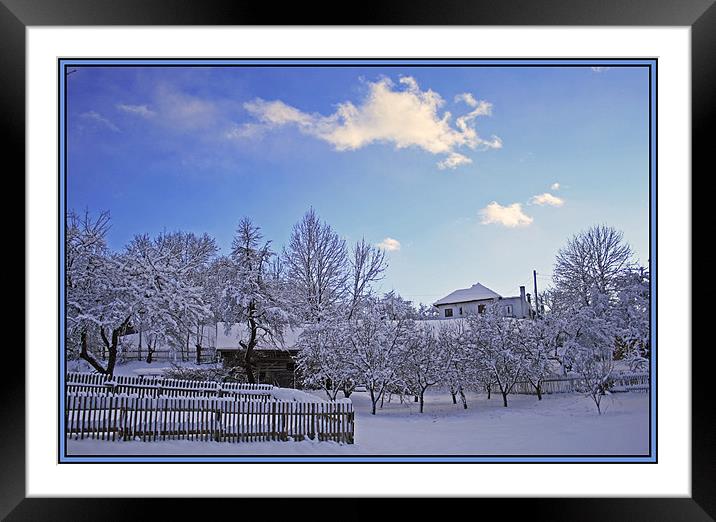 Winter Rime Framed Mounted Print by Ciobanu Razvan